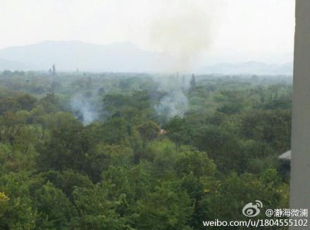 微博爆料：杭州西溪湿地发生火情