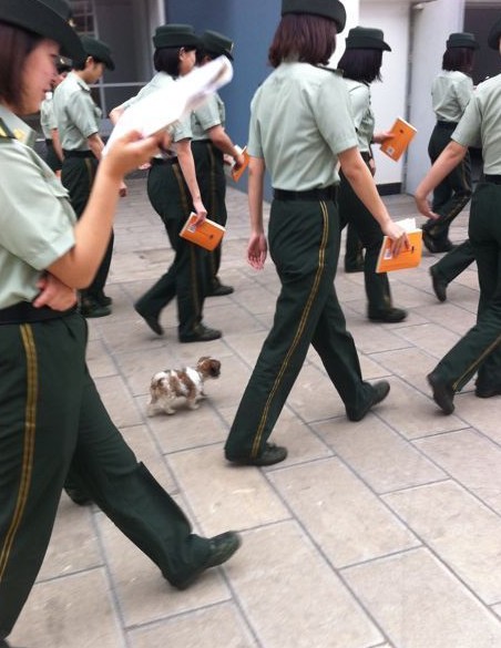 消防女警微博上演制服诱惑 开保时捷路虎上班