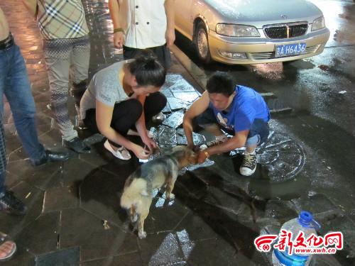 高层居民家失火 机警小狗叫醒主人/图