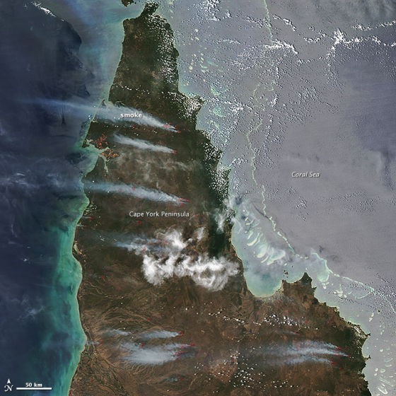 美国卫星照 澳大利亚野火火灾浓烟滚滚/图