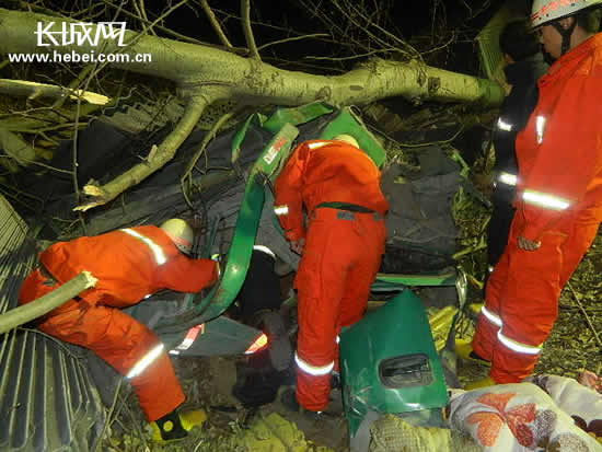 货车撞向路边大树 消防火速出警破拆救援