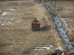 甘肃载橘子货车侧翻遭哄抢 车主损失10万/图