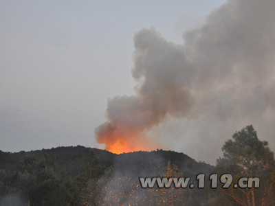 玉溪森林火灾过火面积近2000亩 消防扑救