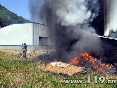 杭州富阳废弃油脂厂起火 消防30分钟灭火/图