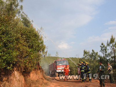 玉溪森林火灾过火面积近2000亩 消防扑救