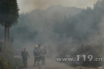 丽水青田突发山林大火 消防4小时降火魔/图