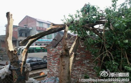 组图：四川内江遭遇大风冰雹袭击