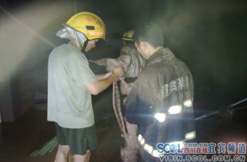 宜宾消防抗洪抢险 激流闪耀橙色力量