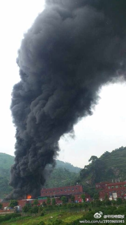 组图：温州一塑料工厂起火 黑烟滚滚