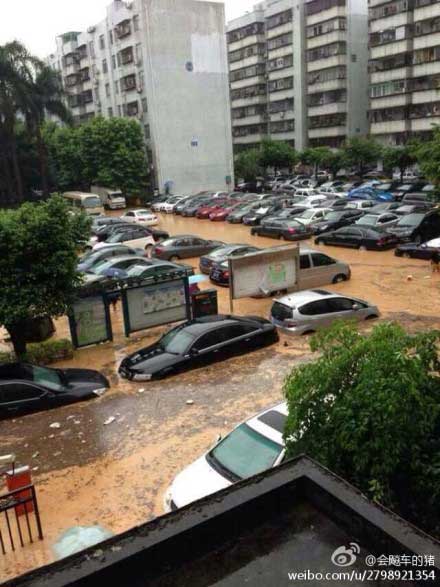 组图：深圳遭遇大暴雨 女司机被困车内死亡