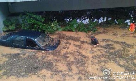 组图：深圳遭遇大暴雨 女司机被困车内死亡