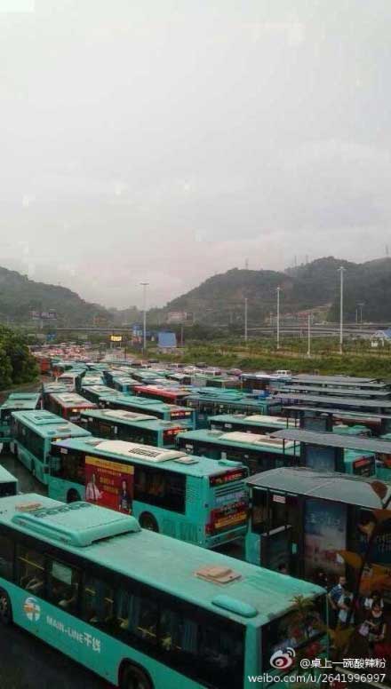 组图：深圳遭遇大暴雨 女司机被困车内死亡