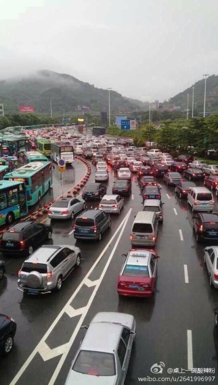 组图：深圳遭遇大暴雨 女司机被困车内死亡