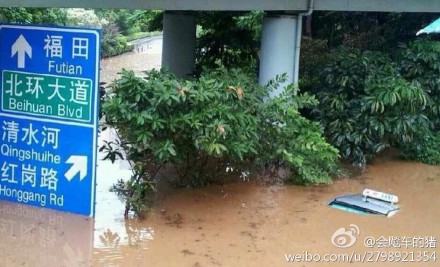 组图：深圳遭遇大暴雨 女司机被困车内死亡