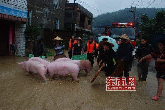 组图：天兔登陆多地被淹 消防脸盆当船救婴儿