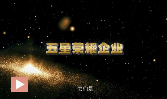 2013年消防行业十大评选之五星荣耀企业