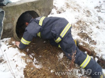 大雪天流浪汉被困涵管 合肥消防雪中救助