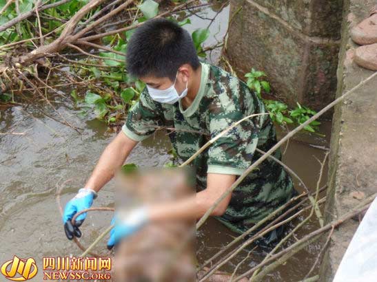 爷孙二人夜间下河捞虾溺亡 三天后被发现