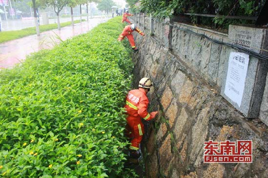 三只小狗掉进下水道 爱心消防来救援