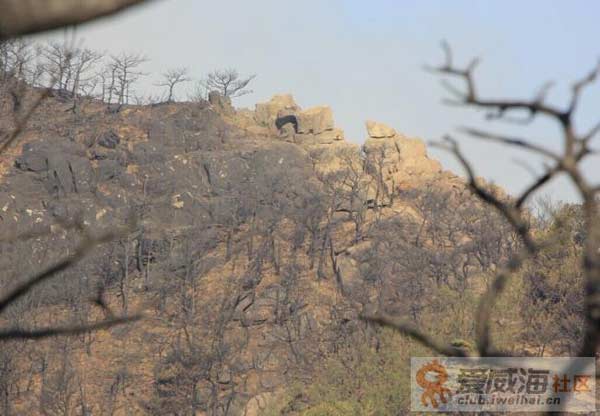 组图：5-29威海森林火灾怡和救援纪实