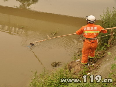 河中惊现红发男尸 德阳消防迅速打捞