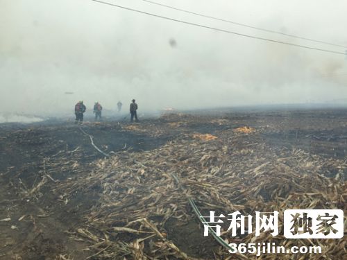 九台村民风天烧荒引火灾 大量玉米秸秆被烧