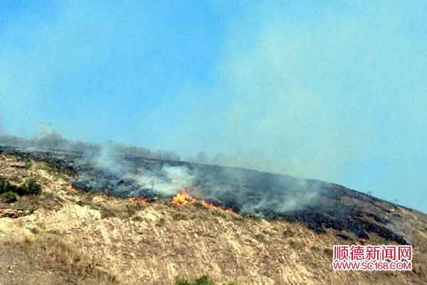 大岗山公园山顶失火 消防员徒步登山灭火