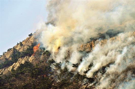 大连大黑山突发山火 5名登山者不幸遇难