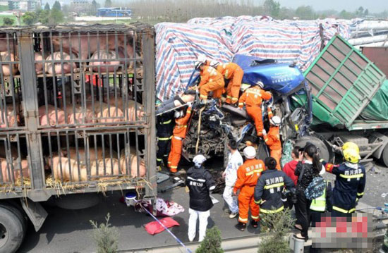 四川大雾天气导致事故频发 已有3死40余伤