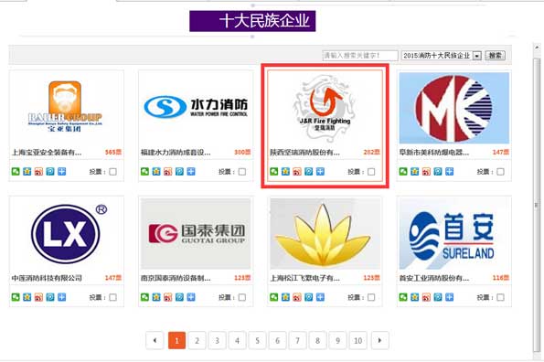 7张图知道2015消防行业品牌盛会网页投票