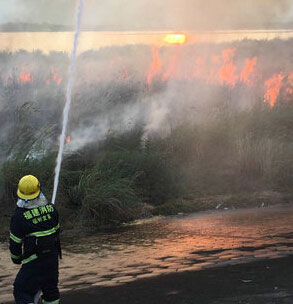 乌龙江湿地公园芦苇荡着火 40多名消防员扑救