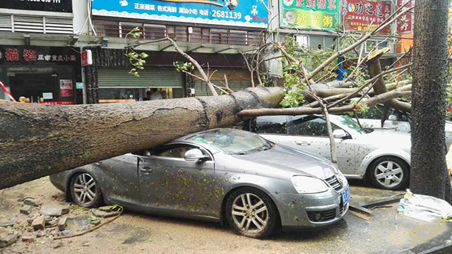 台风来袭，只知道躲在家里可不行