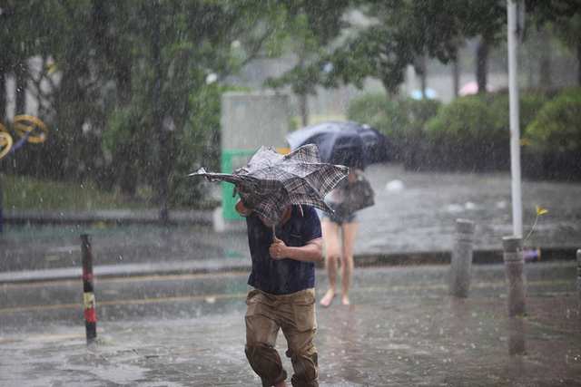 台风来袭，只知道躲在家里可不行