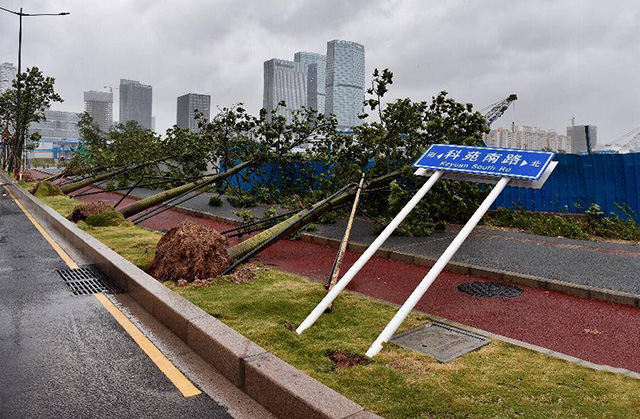 台风来袭，只知道躲在家里可不行