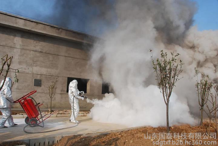 全球知名企业三一集团副总裁谢志霞来国泰科技参观考察