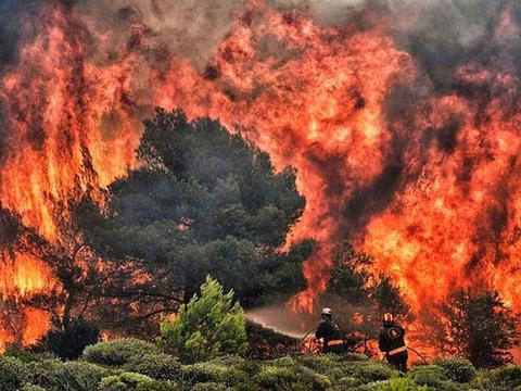 雅典周边山火致死人数升至80人 消防和救援仍在继续