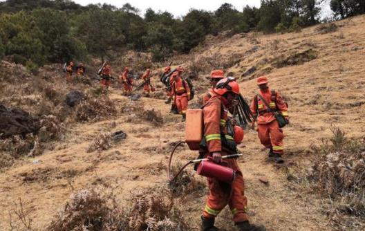 两天扑救！鹤庆、宁蒗山火全线告捷 扑火队伍陆续撤离