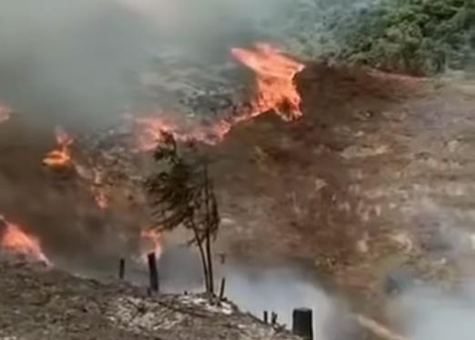 四川珙县村民上坟扫墓引起火灾 过火面积95亩 无人员伤亡