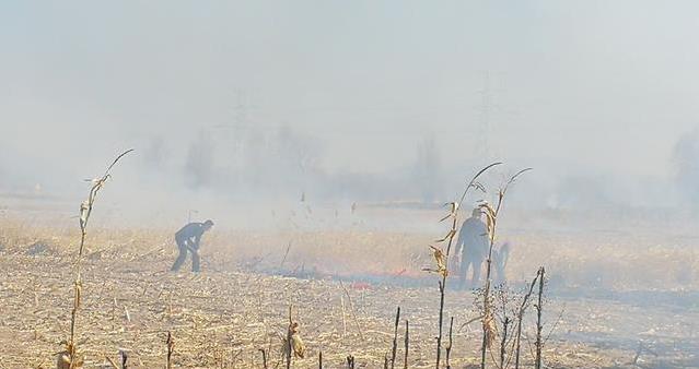 村民焚烧秸秆引发火灾，附近收费站紧急出动扑灭大火