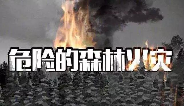 凉山森林火灾救援中发生的“林火爆燃”是什么？