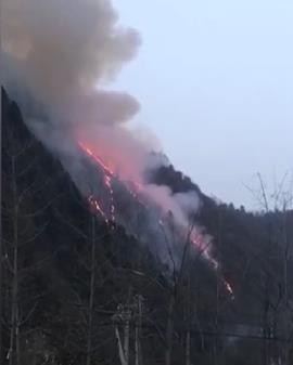 女子烧纸引发森林火灾被刑拘 山坡对面就是加油站