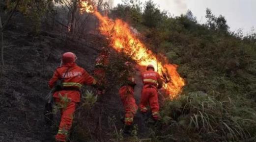 湖南衡东森林火灾过火面积4000余亩 暂无人员伤亡