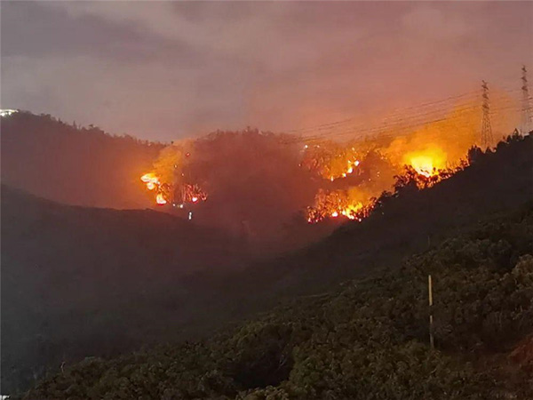 多图：深圳市南山区发生火灾，600余人参与灭火