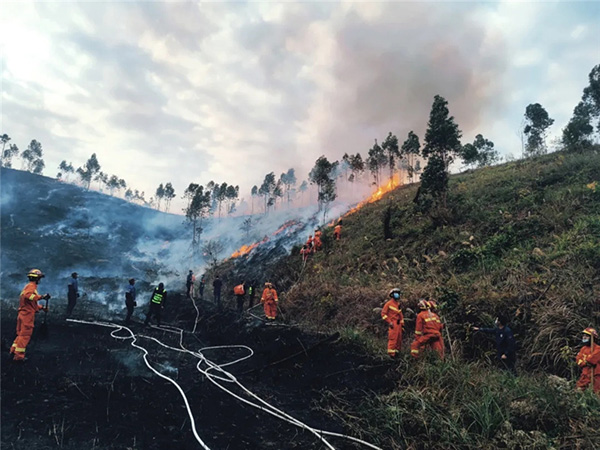 多图：深圳市南山区发生火灾，600余人参与灭火