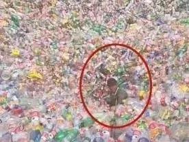 生死瞬间！粮仓竟然“吃人”了！消防员紧急破仓救援