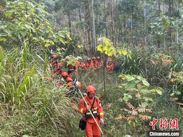 广西梧州突发森林火灾 消防队伍紧急扑救