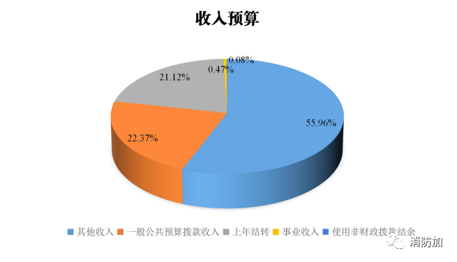 消防救援局：2022年收入预算16178571.25万元