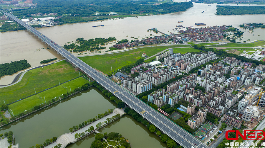 广东佛山：受连日大雨影响 北江大堤外围成泽国