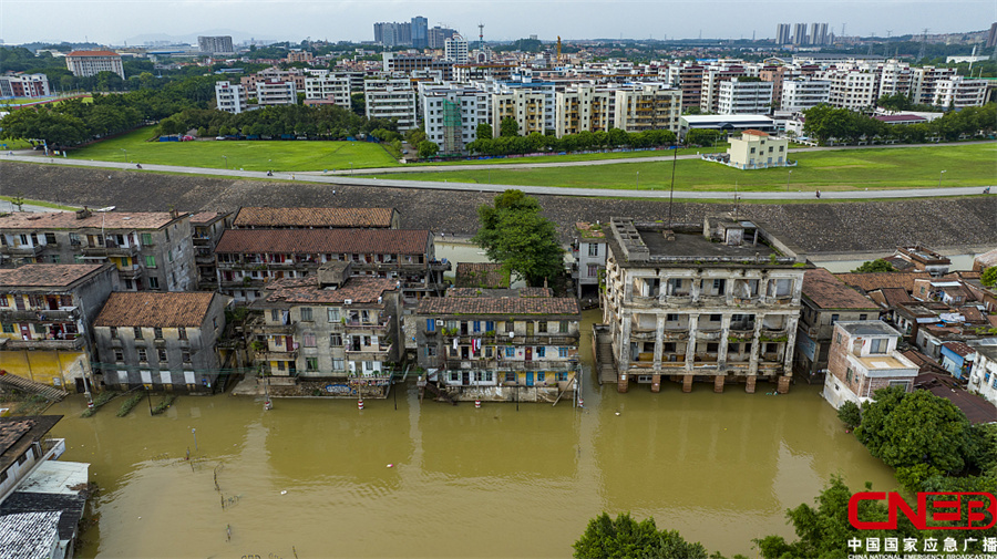 广东佛山：受连日大雨影响 北江大堤外围成泽国