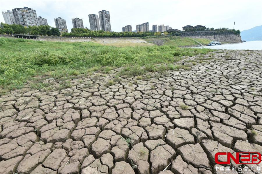 重庆31个区县遭受干旱灾害
